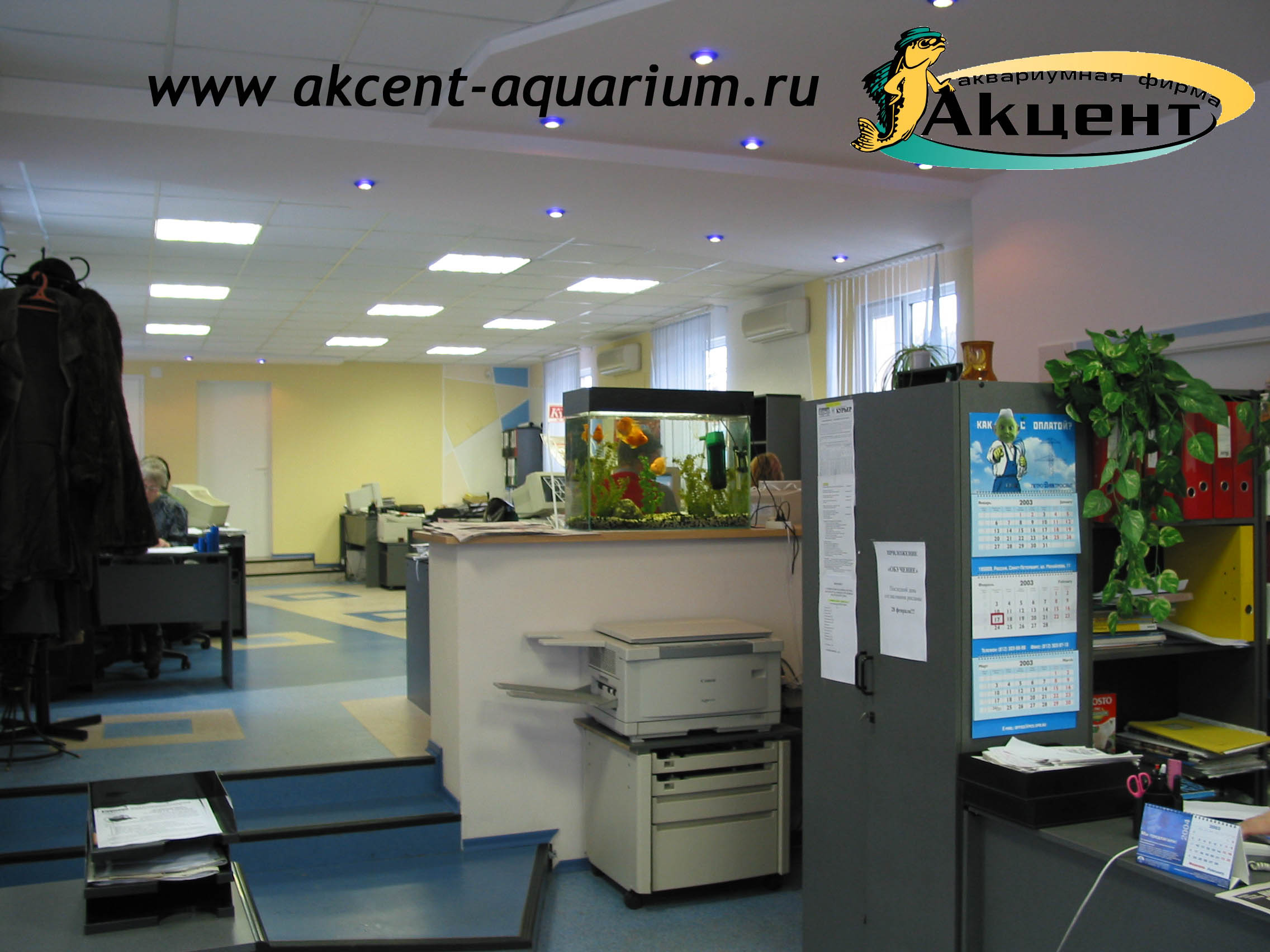 Акцент-аквариум, аквариум с 120 литров, в офисе